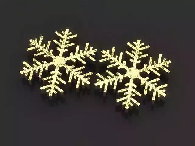 Snow Earring