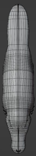 Pam the Platypus Low-poly 3D model_9