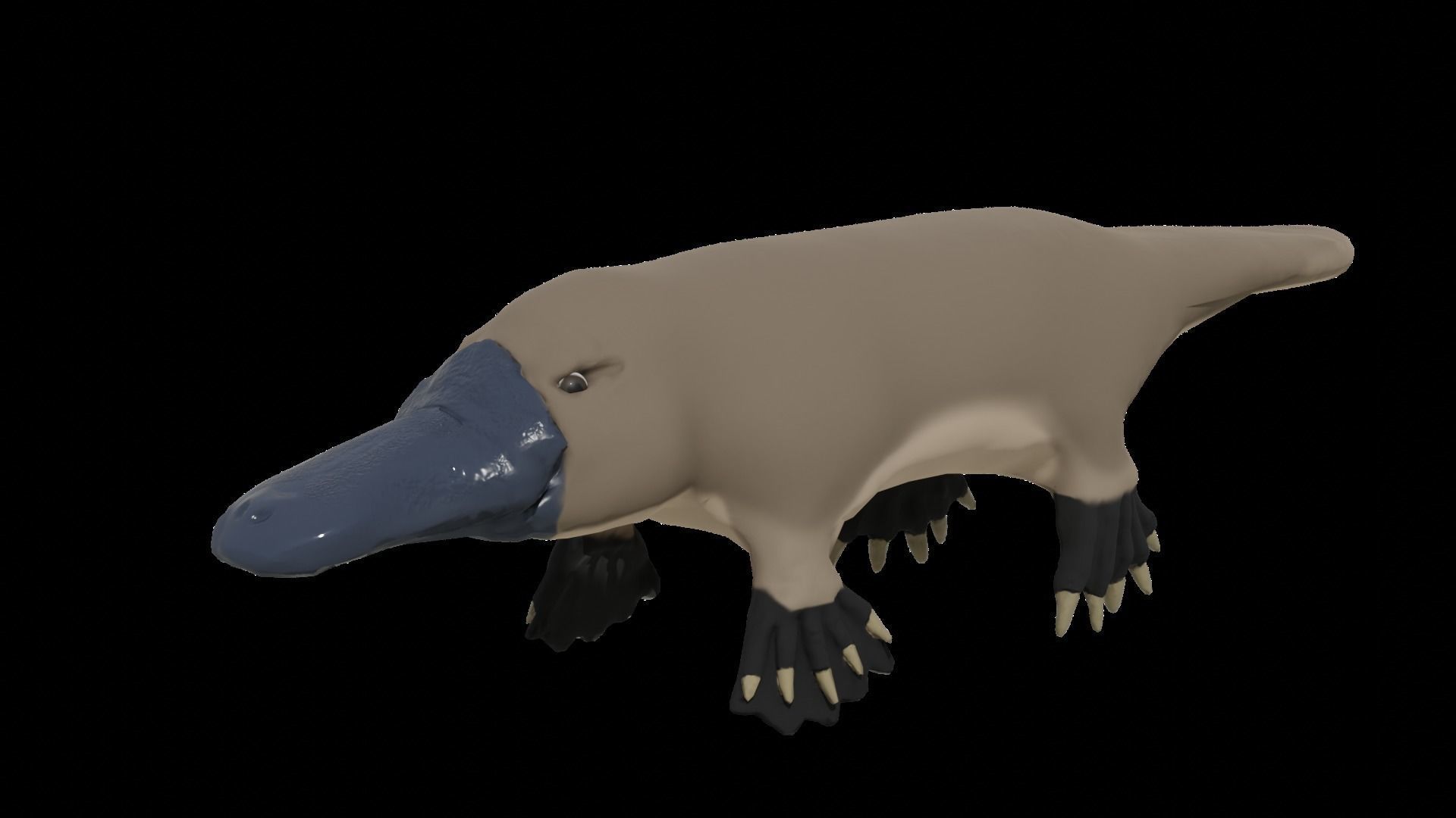 Pam the Platypus Low-poly 3D model_3