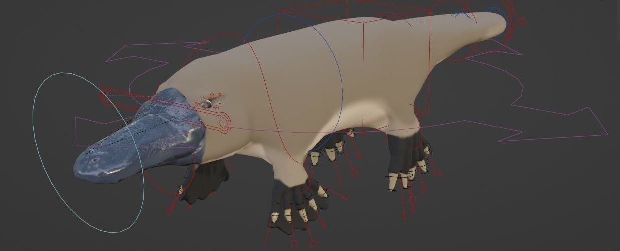 Pam the Platypus Low-poly 3D model_7