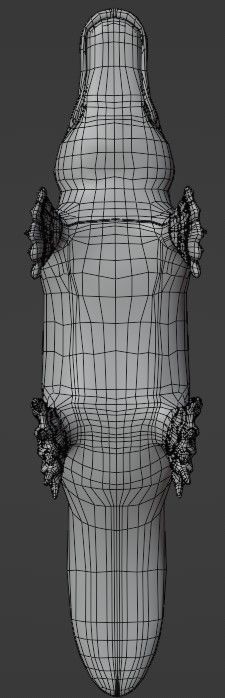 Pam the Platypus Low-poly 3D model_10