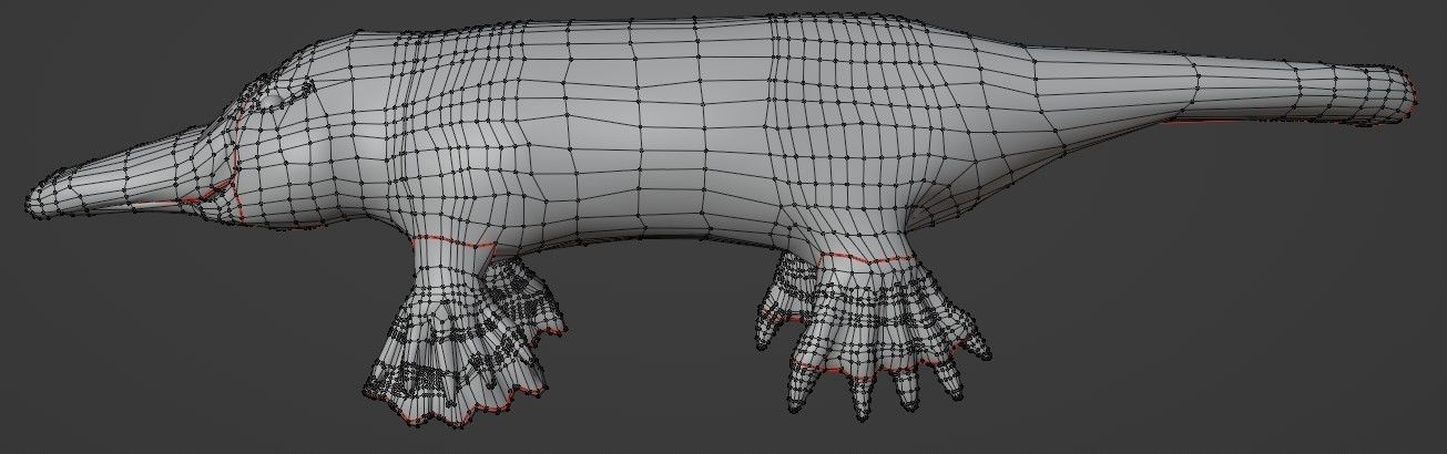 Pam the Platypus Low-poly 3D model_8