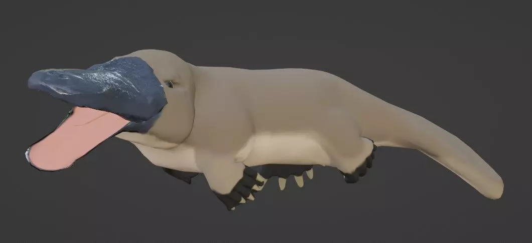 Pam the Platypus Low-poly 3D model_0