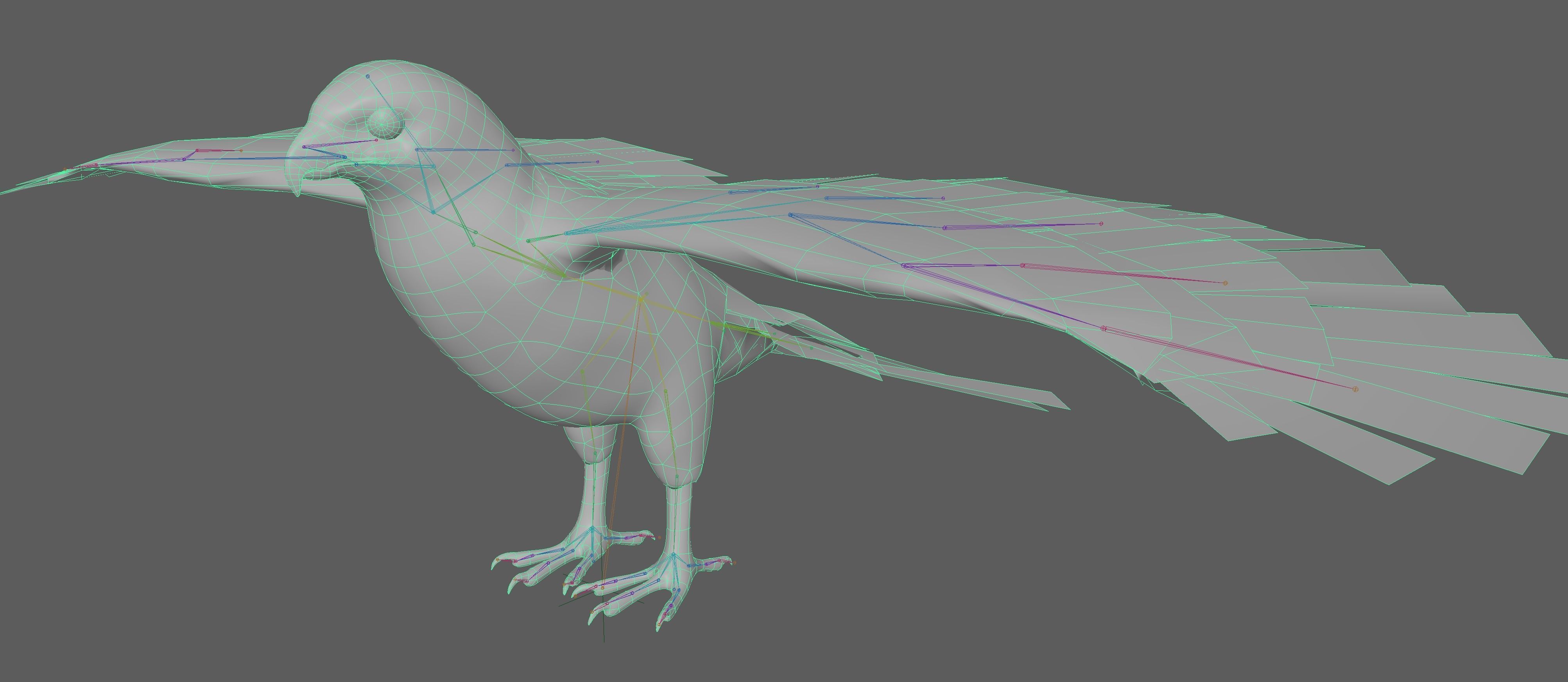 Hawk Rig 3D model_14