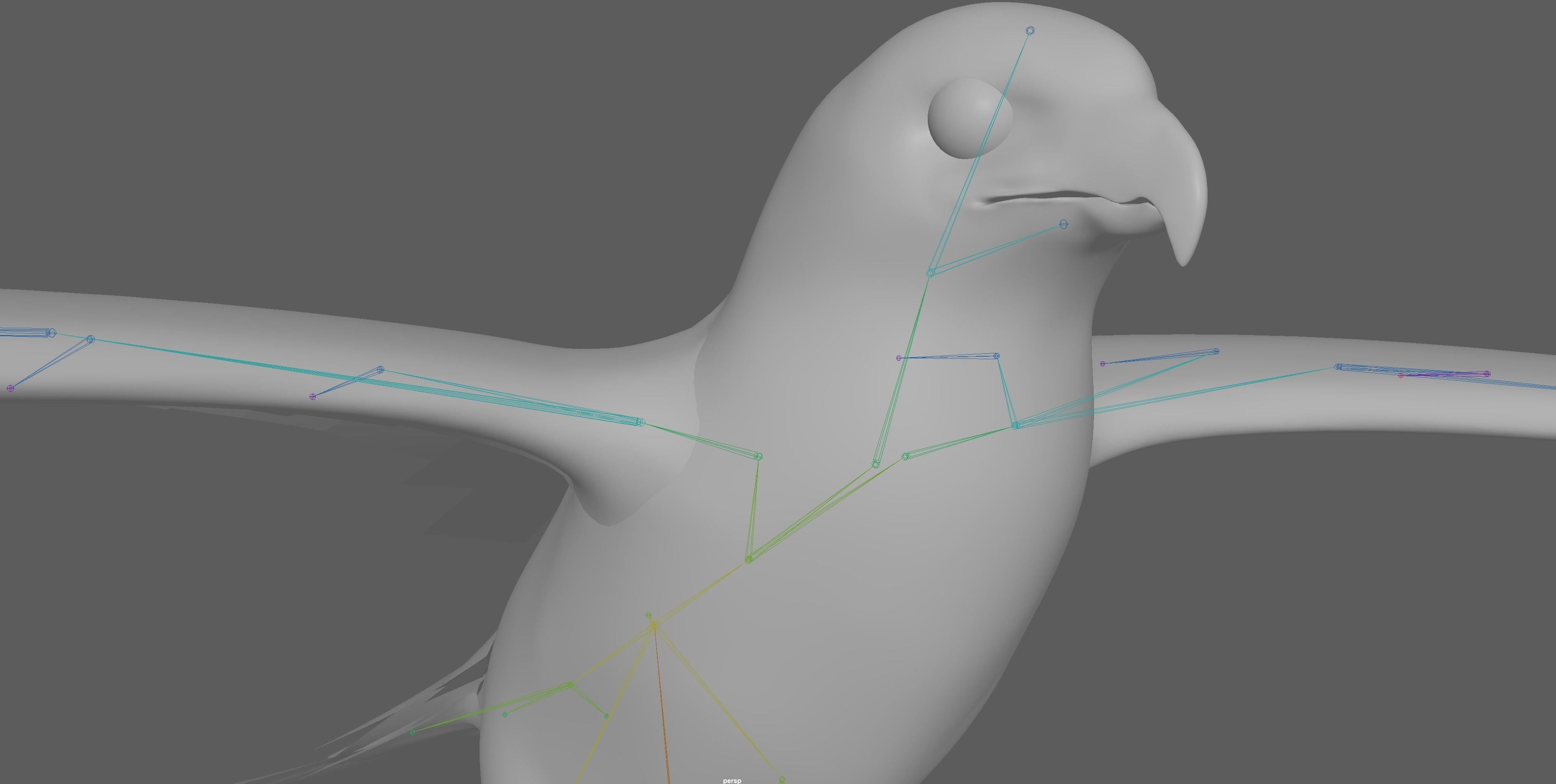 Hawk Rig 3D model_13