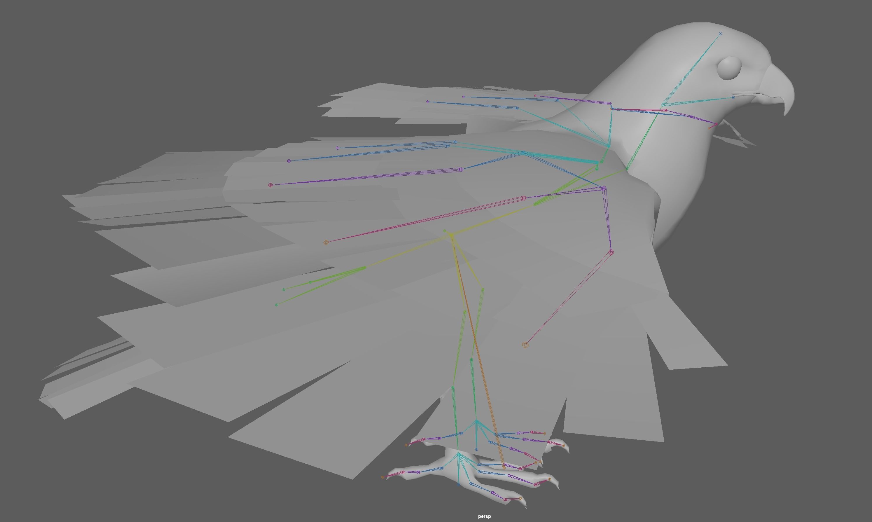 Hawk Rig 3D model_19