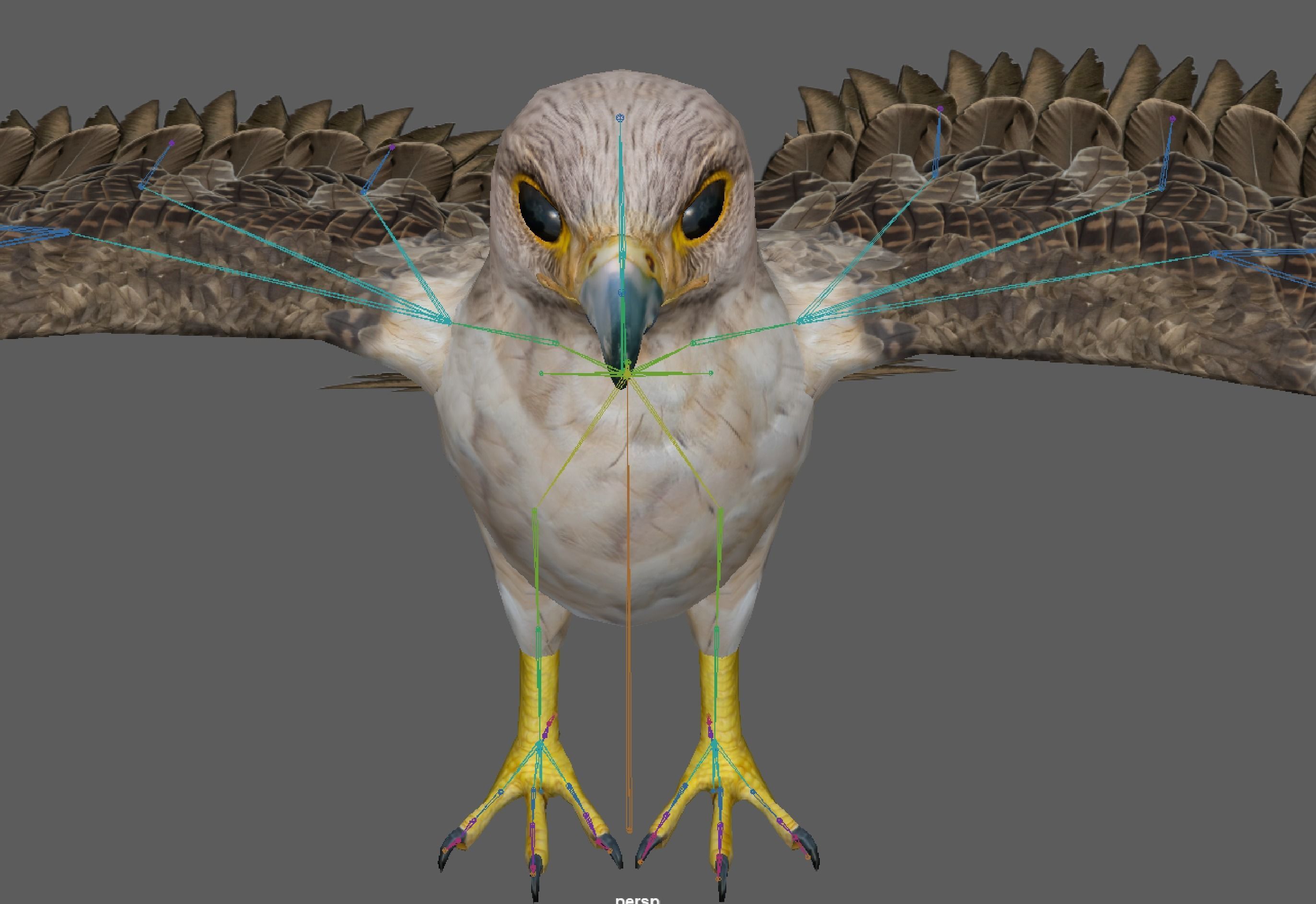 Hawk Rig 3D model_16