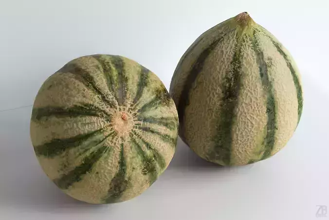 Melon 3D model
