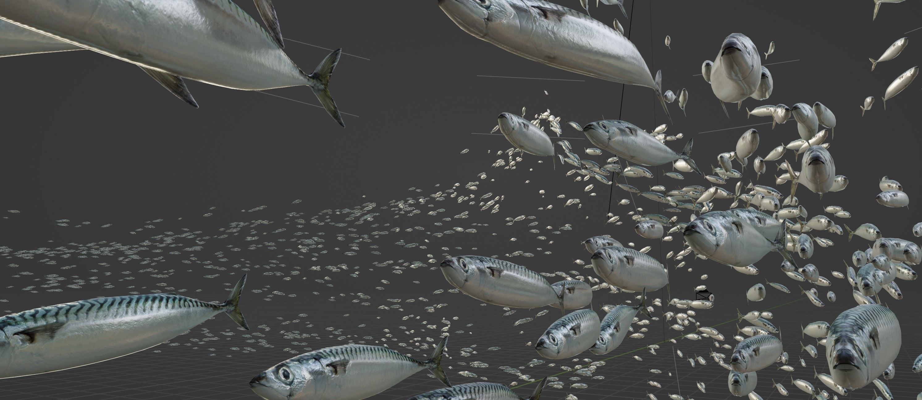 Maquereau mackerel fish Low-poly 3D model_2