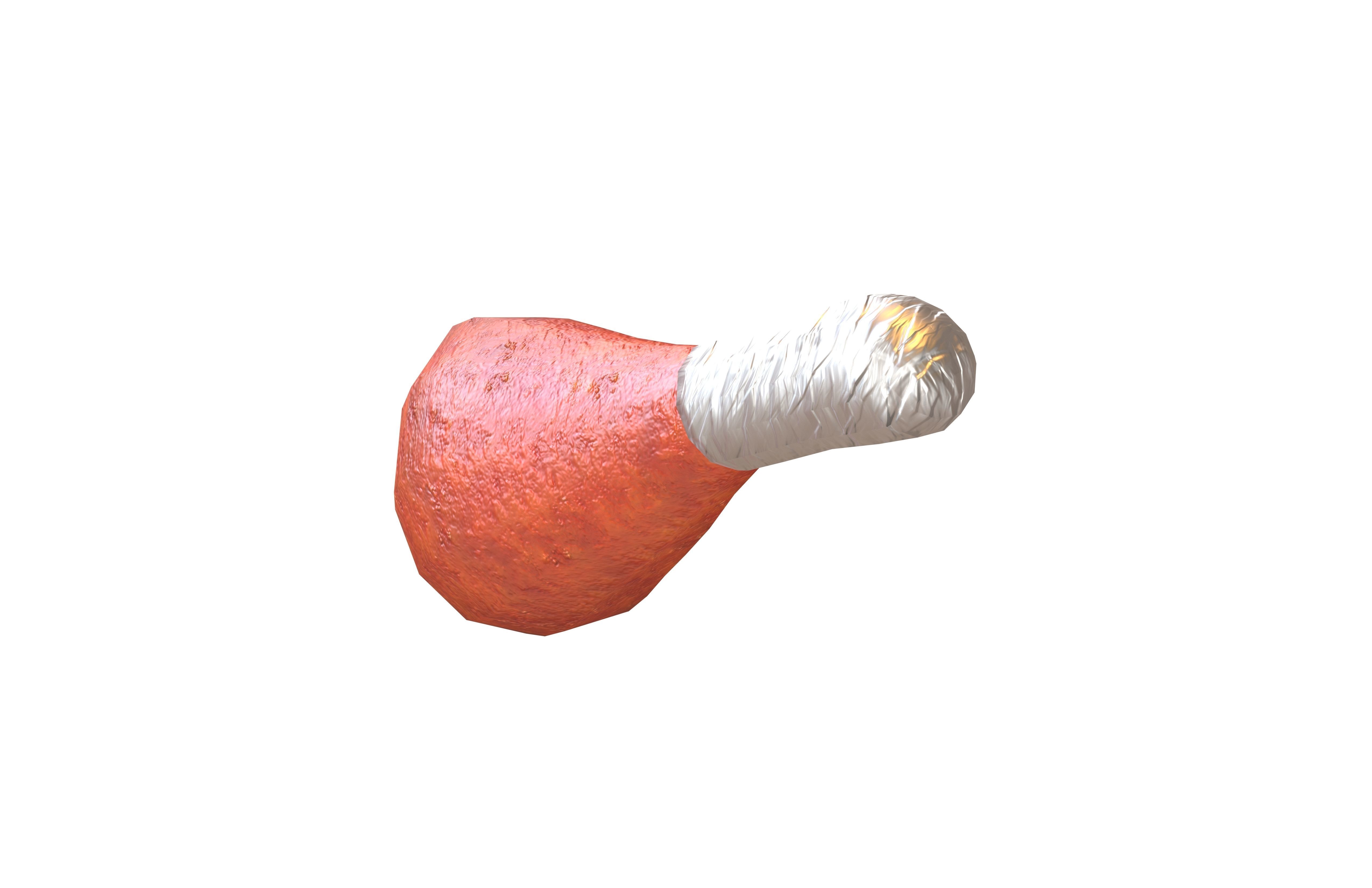 Turkey Leg V1 001 Low-poly 3D model_2