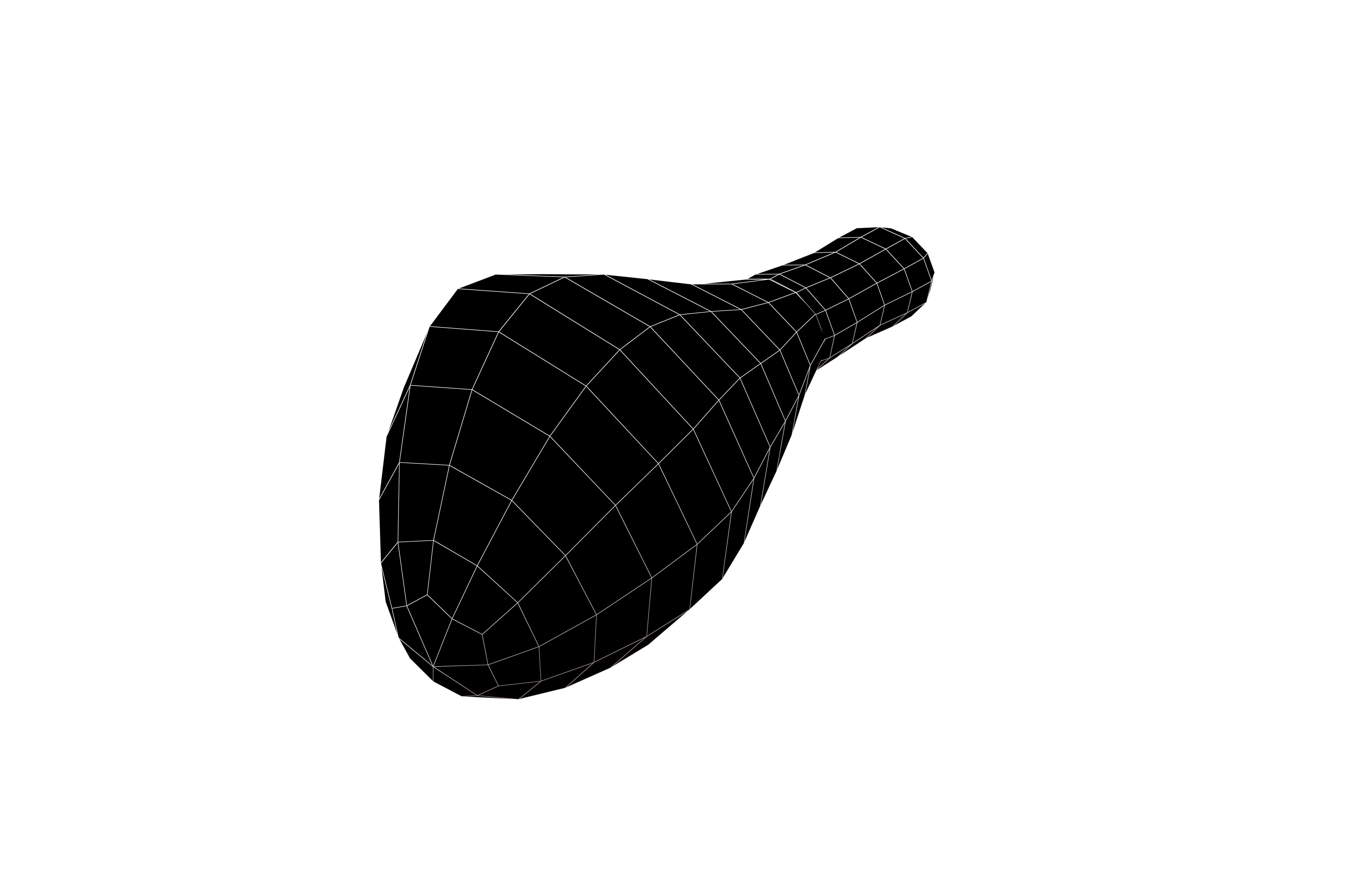 Turkey Leg V1 001 Low-poly 3D model_6