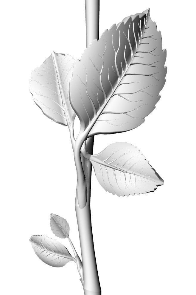 Rose Stem 3D model_4