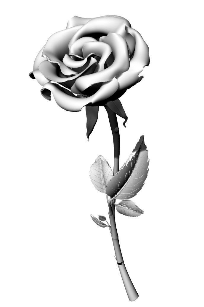 Rose Stem 3D model_1