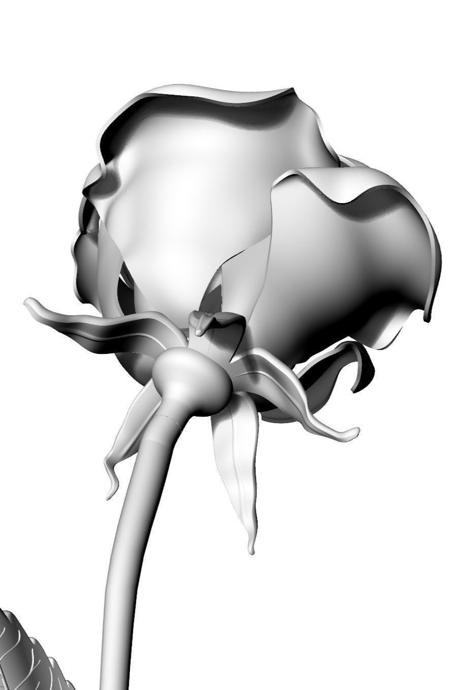 Rose Stem 3D model_5