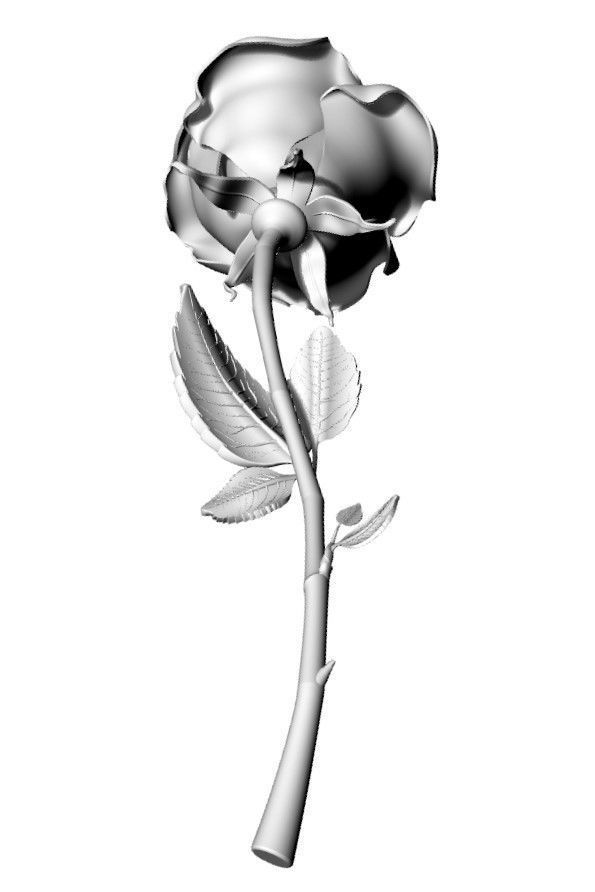 Rose Stem 3D model_2