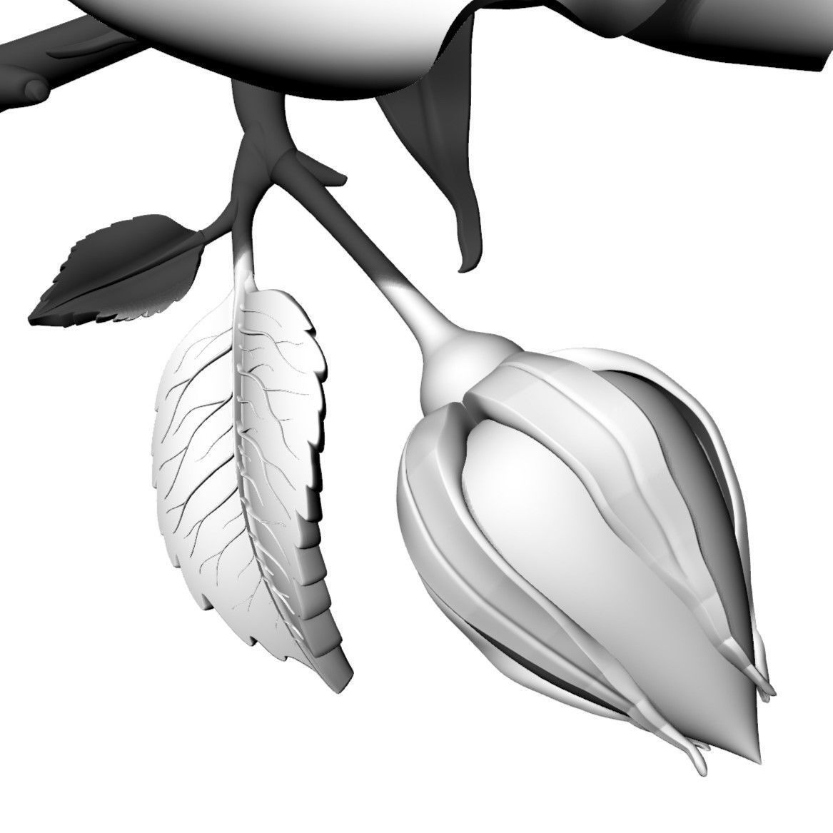 Rose Bush 3D model_4