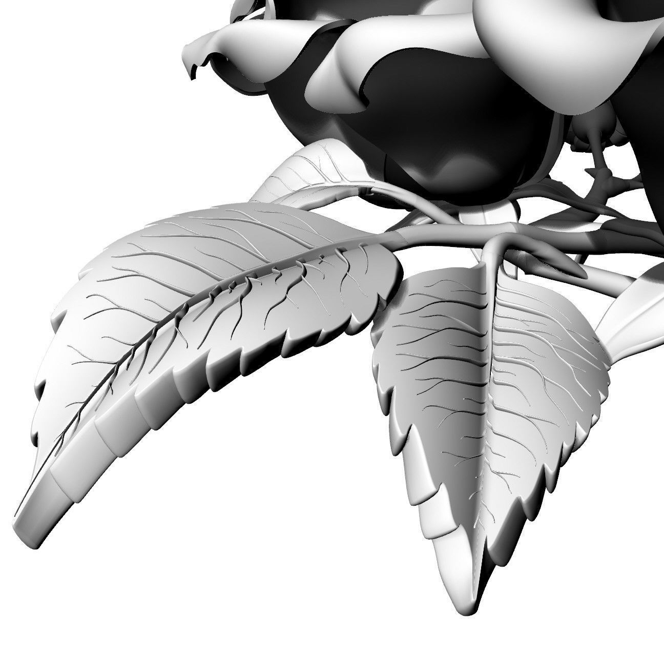 Rose Bush 3D model_5