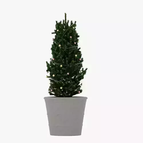 Christmas Tree in a pot 2 model 3D model