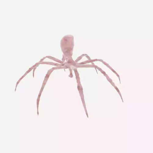 dangerous strange spider 3d model fully detailed and rigged Free 3D model