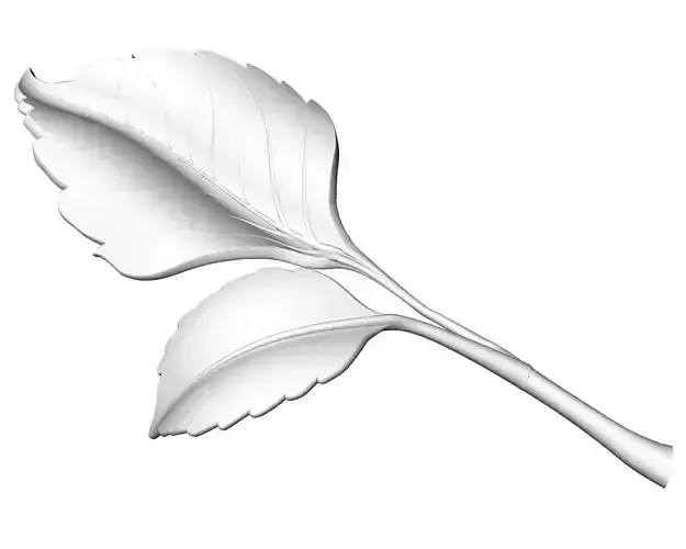 Rose Leaf 3D model