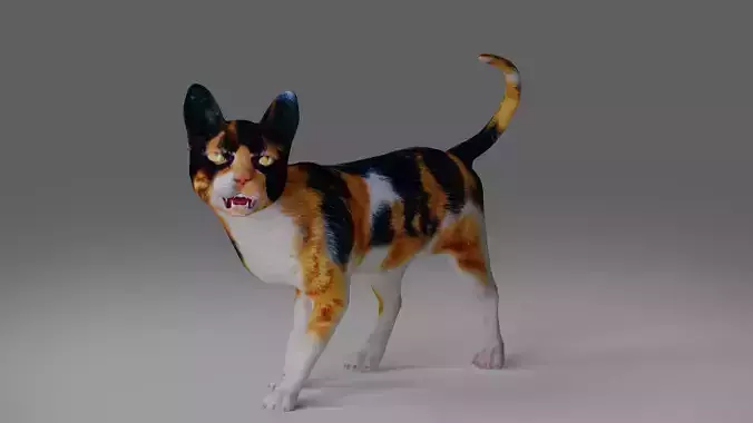 Calico Cat Rigged and Animated V4 in Blender