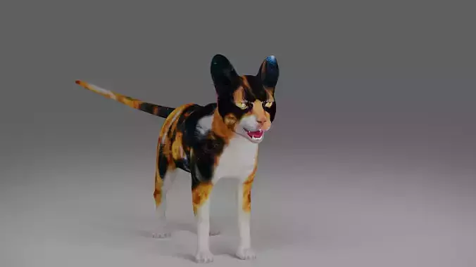 Calico Cat Rigged V4 in Blender 
