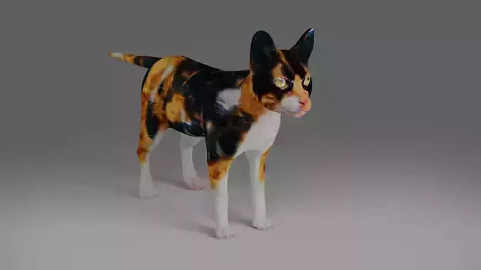 Calico Cat NO Rigged V4 in Blender