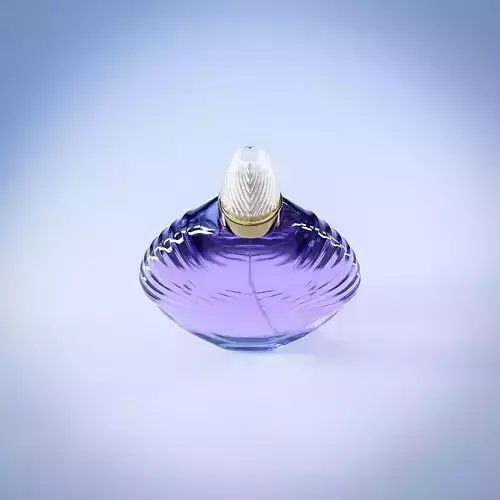 Perfume Bottle 04