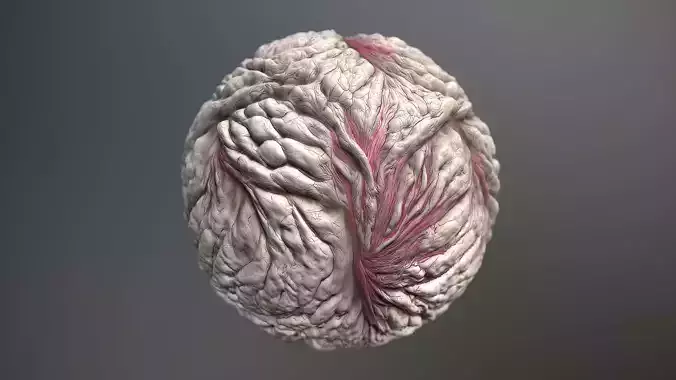 Material Skin Monster 20 Seamless PBR Texture Texture