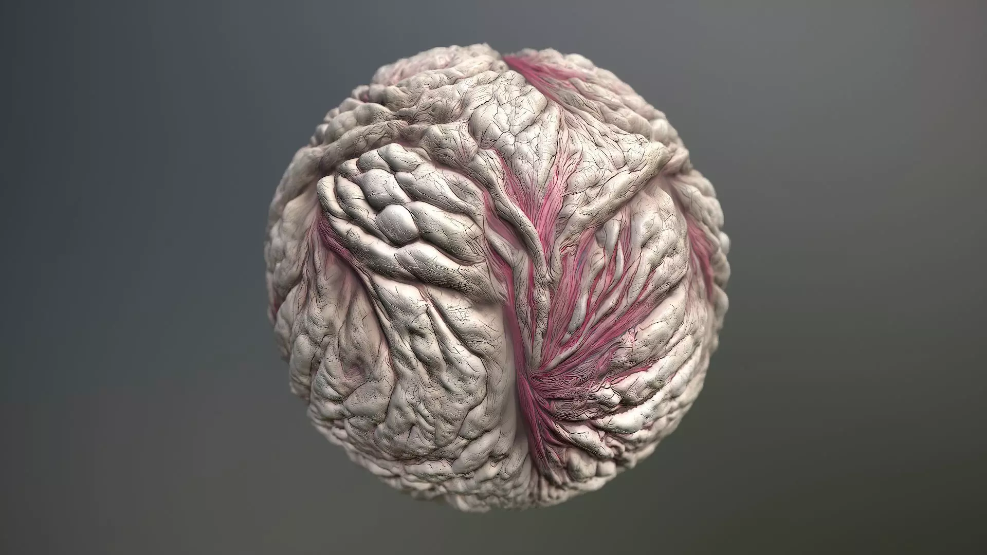 Material Skin Monster 20 Seamless PBR Texture Texture_0