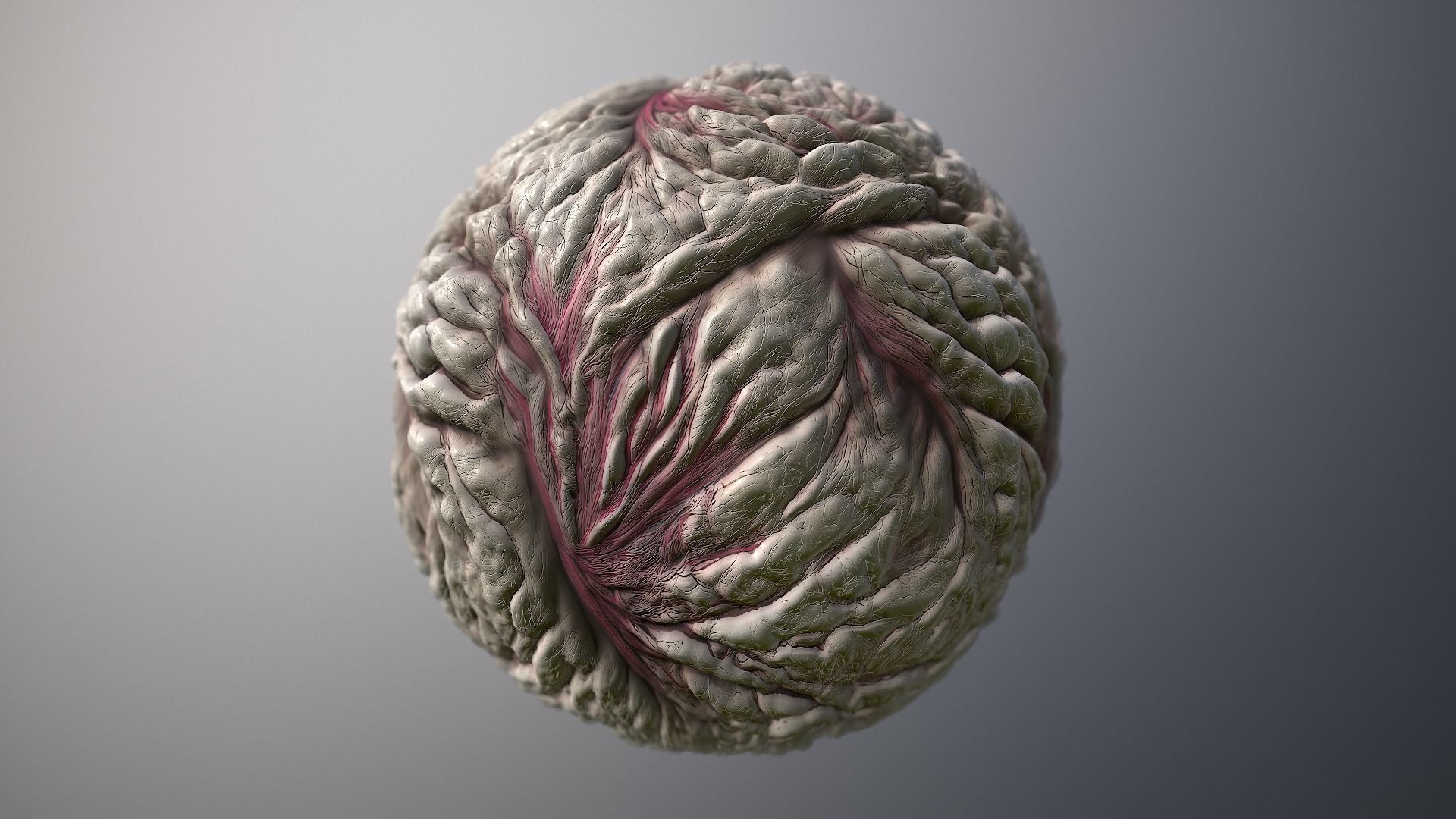 Material Skin Monster 20 Seamless PBR Texture Texture_7