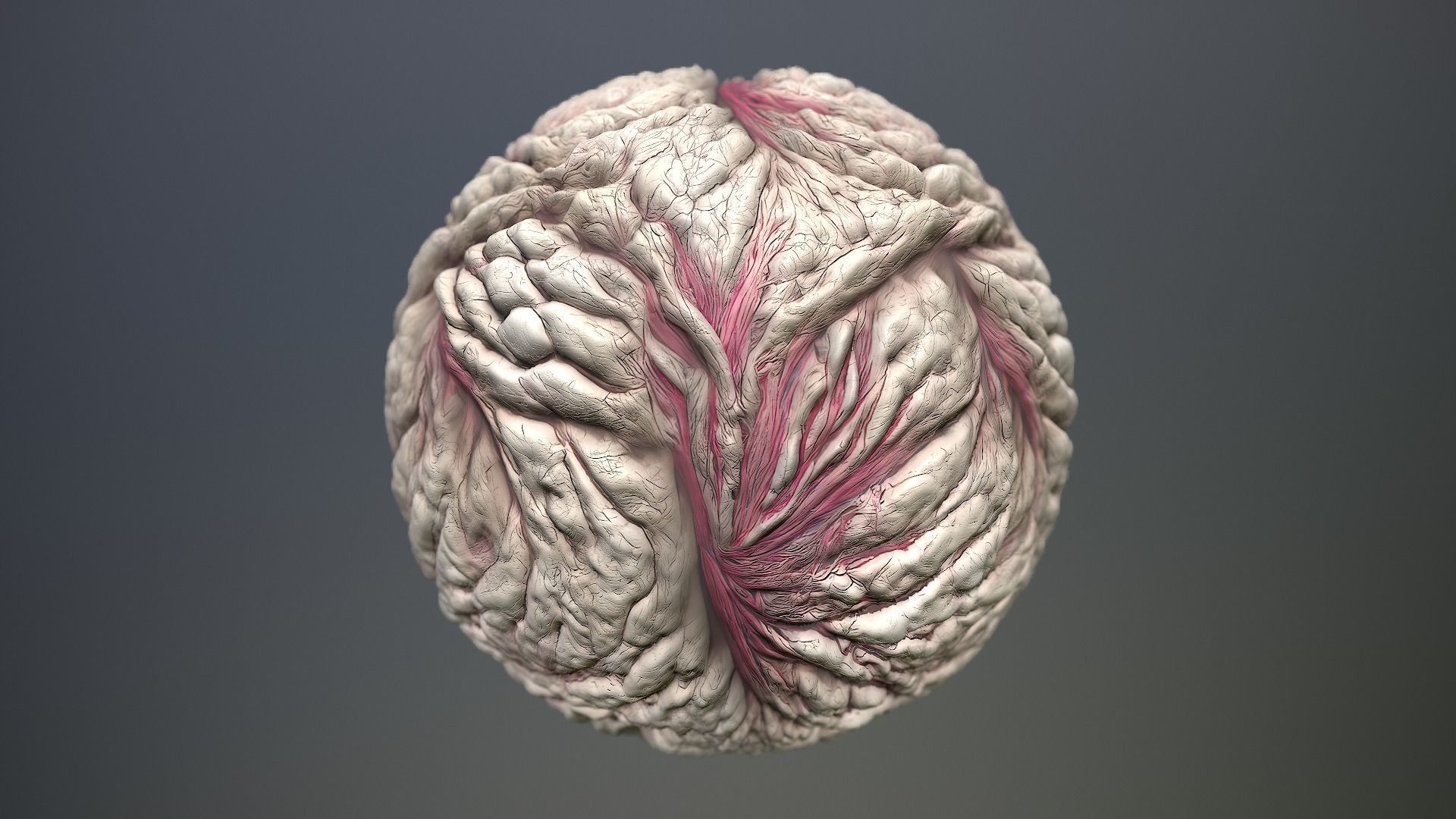 Material Skin Monster 20 Seamless PBR Texture Texture_12