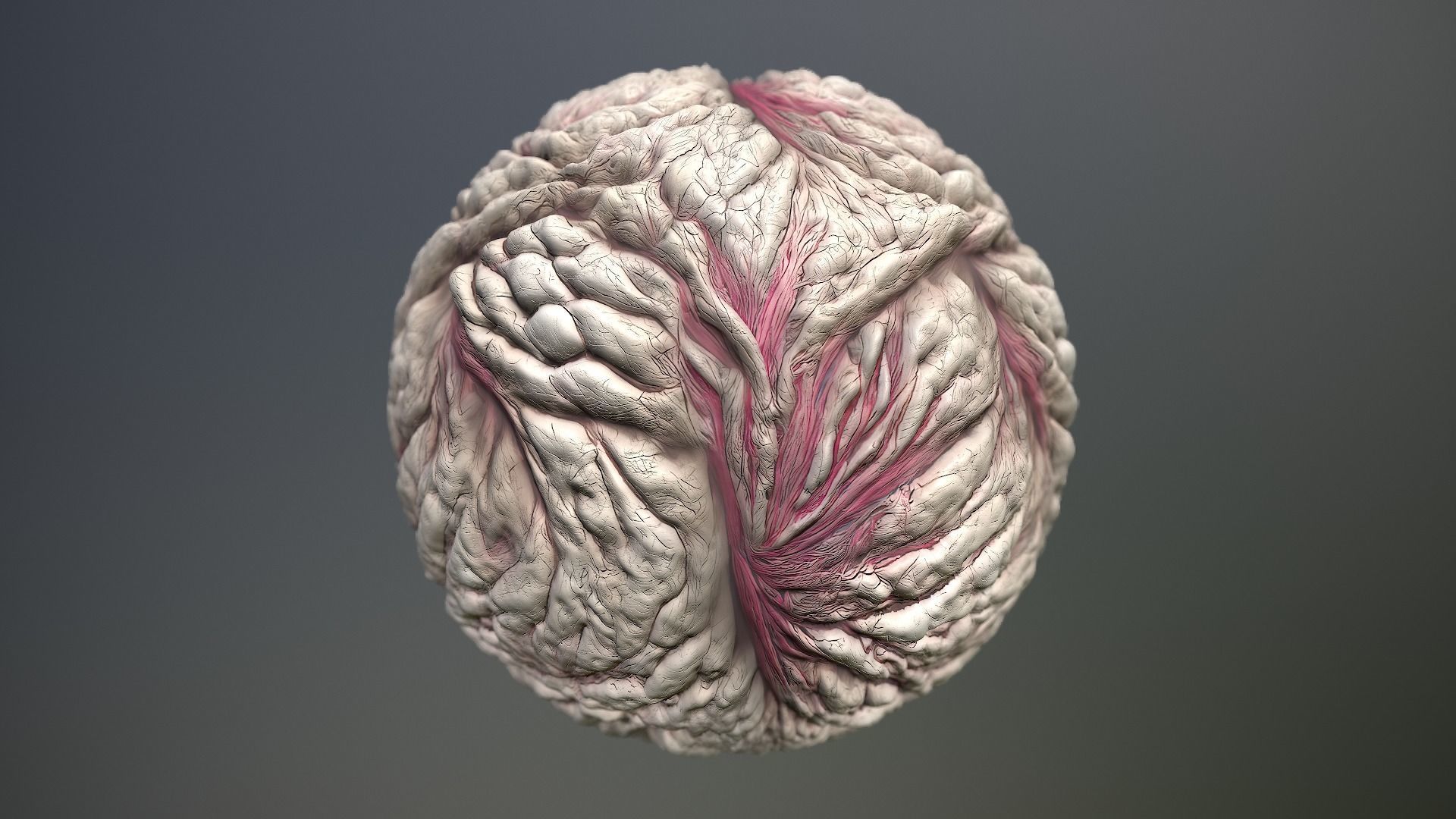 Material Skin Monster 20 Seamless PBR Texture Texture_14