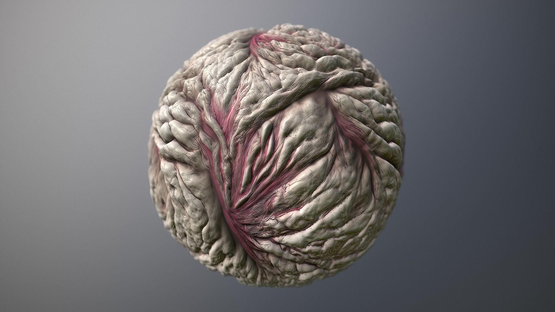 Material Skin Monster 20 Seamless PBR Texture Texture_8