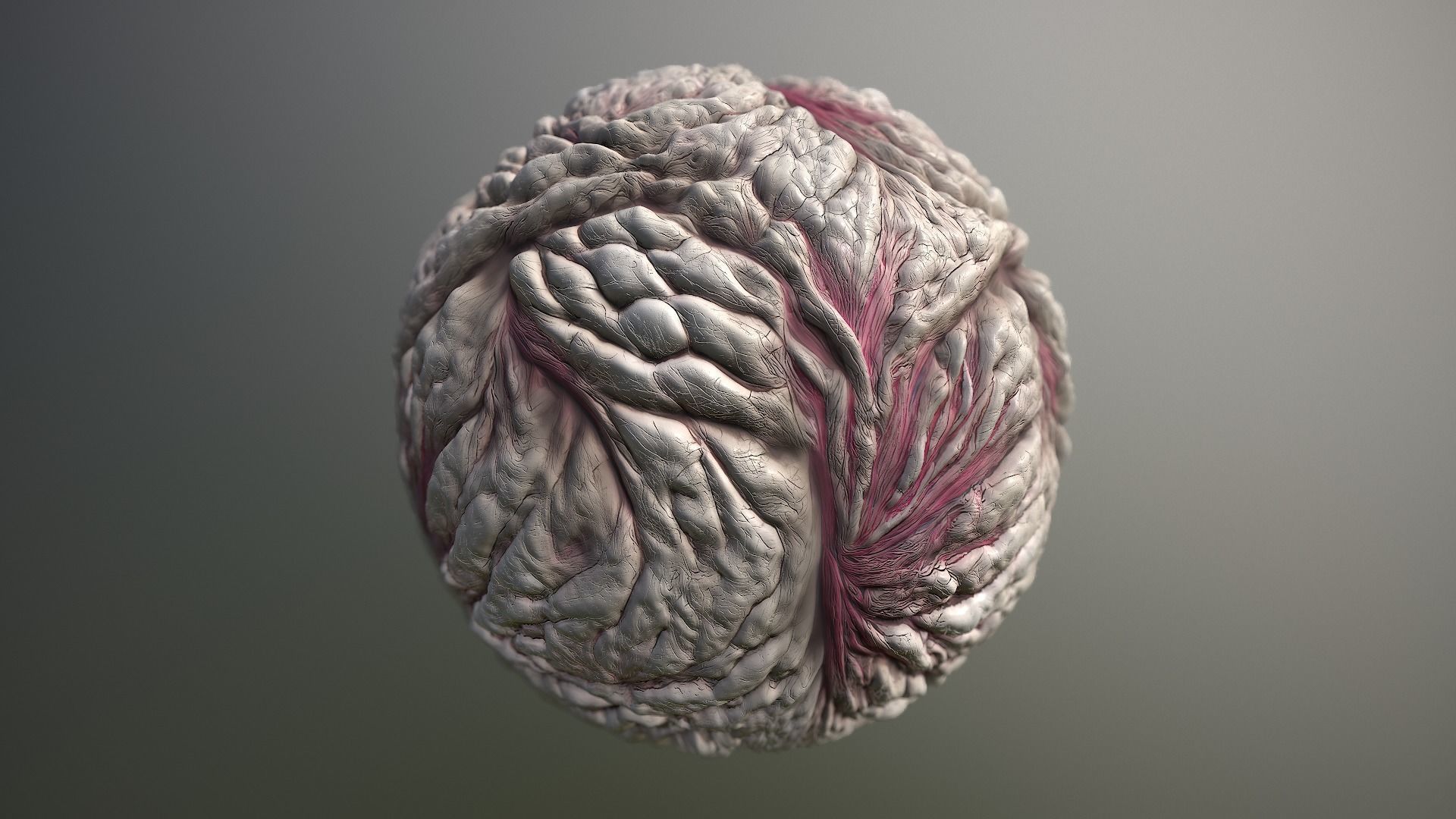 Material Skin Monster 20 Seamless PBR Texture Texture_15