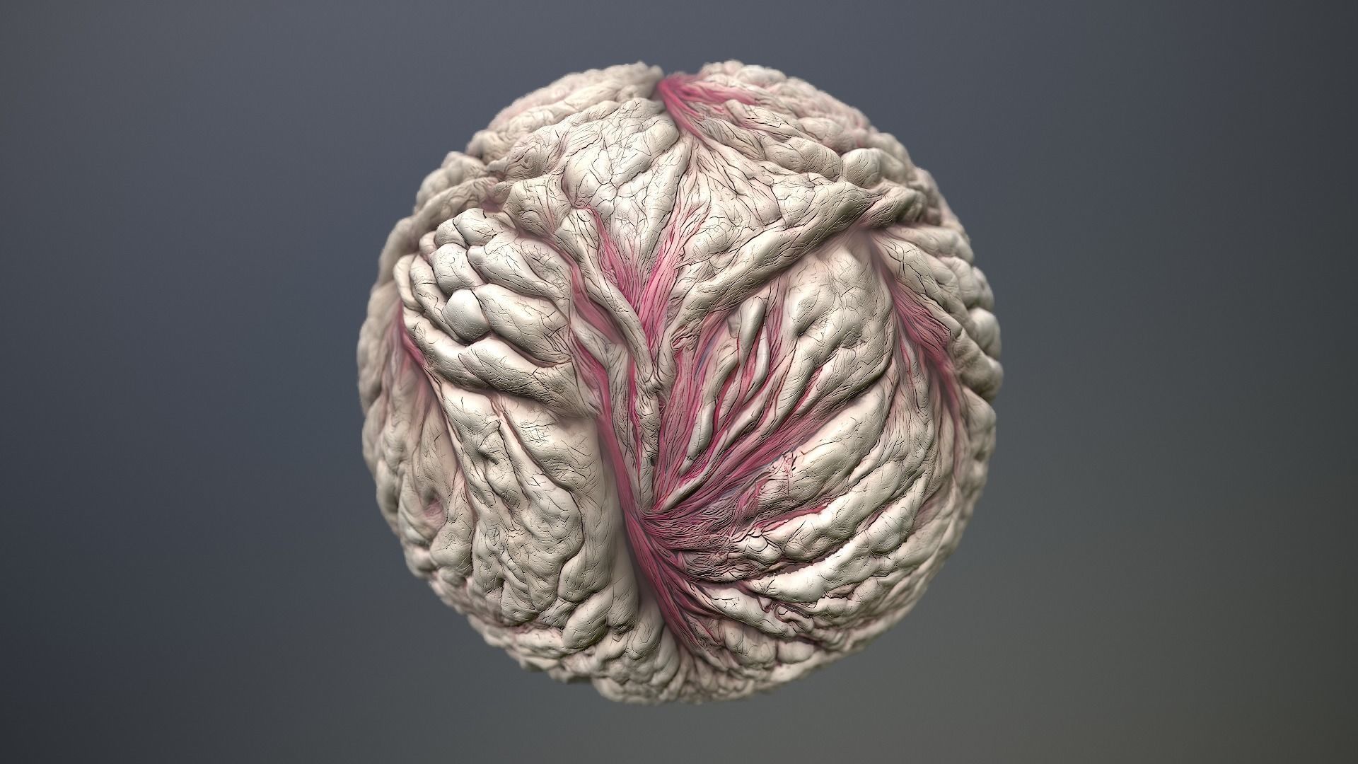 Material Skin Monster 20 Seamless PBR Texture Texture_11