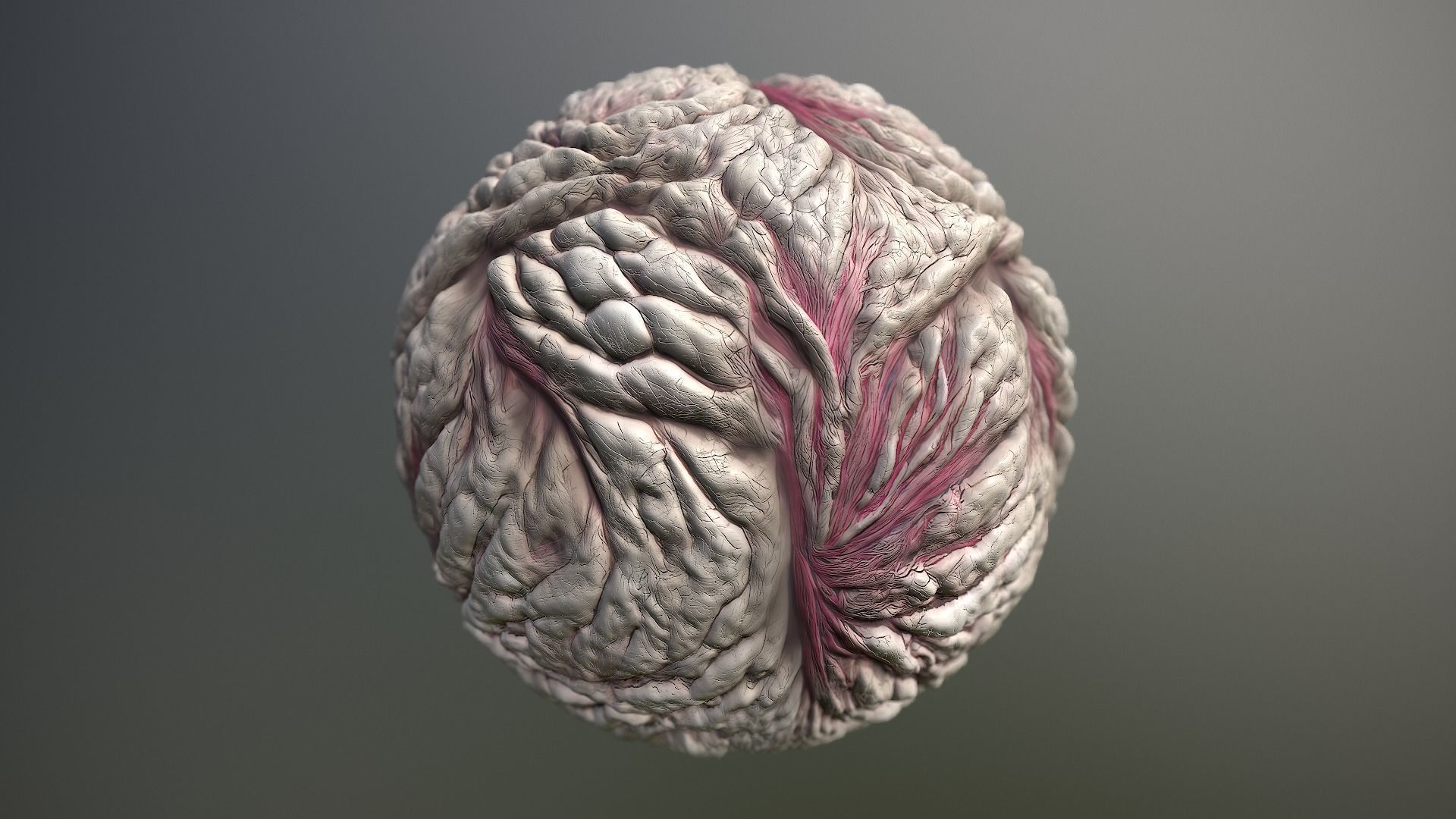 Material Skin Monster 20 Seamless PBR Texture Texture_13