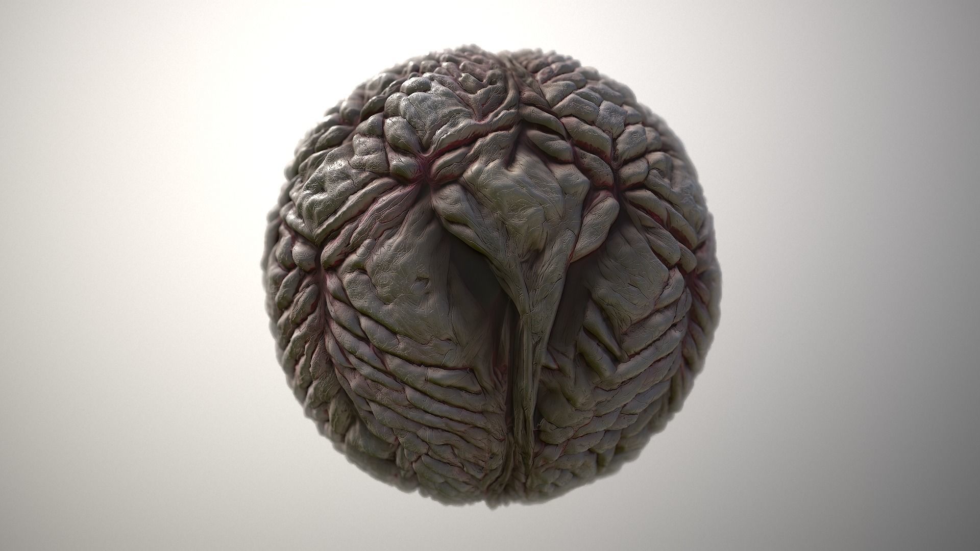 Material Skin Monster 19 Seamless PBR Texture Texture_4