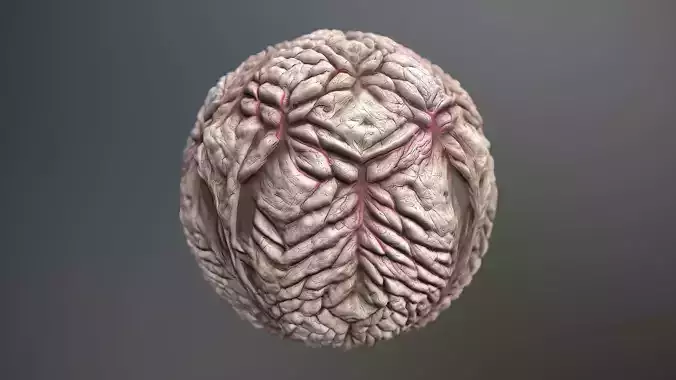 Material Skin Monster 19 Seamless PBR Texture Texture
