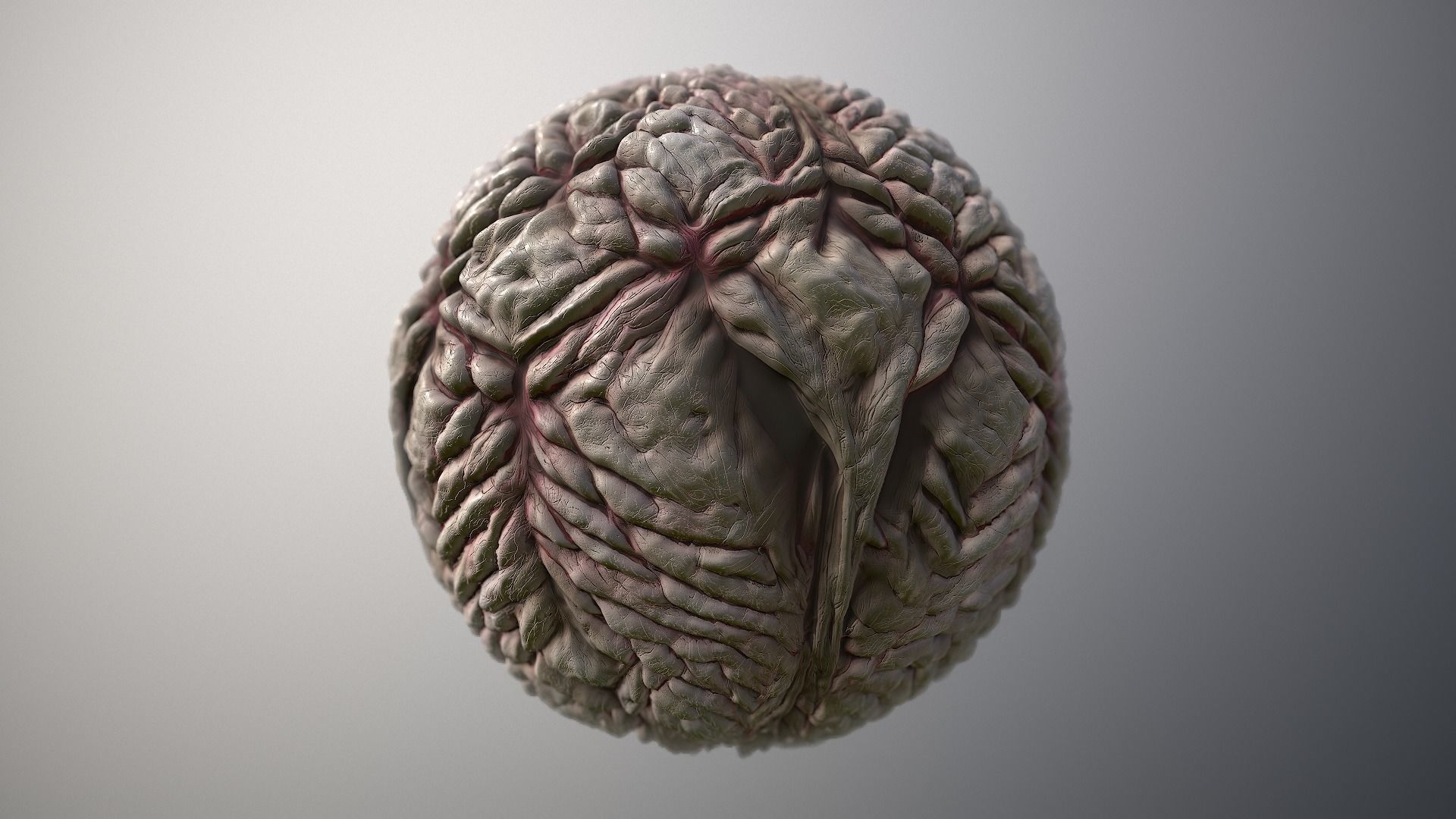 Material Skin Monster 19 Seamless PBR Texture Texture_6