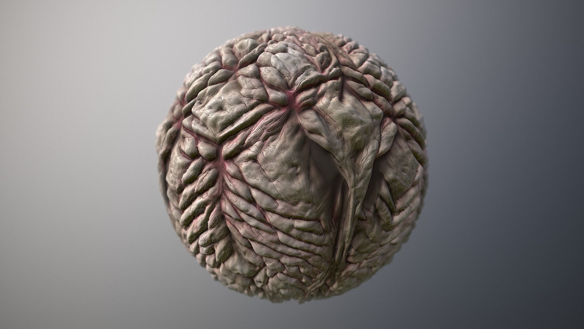 Material Skin Monster 19 Seamless PBR Texture Texture_7