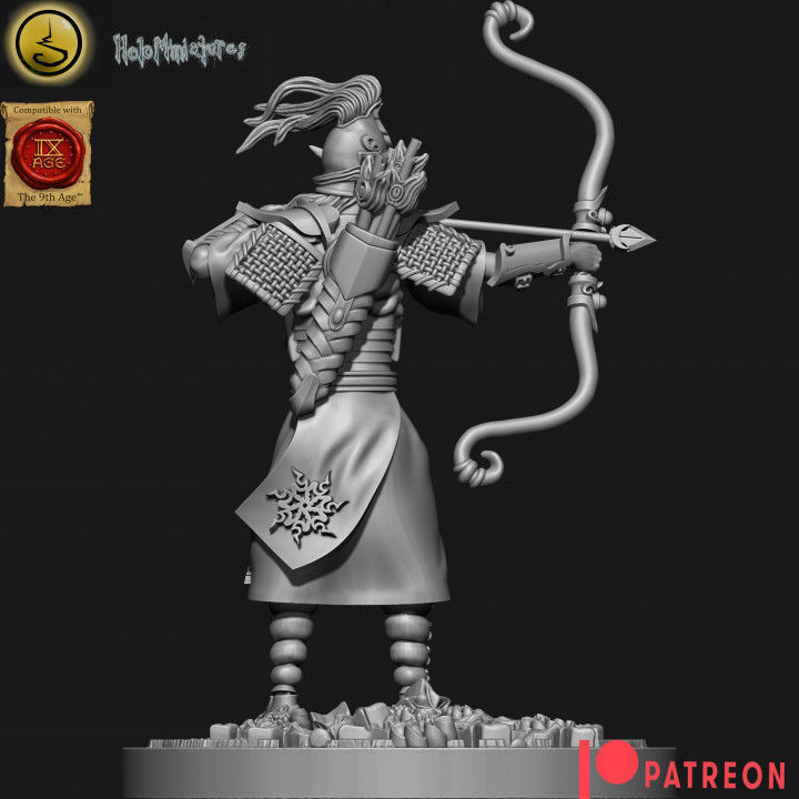 Highborn elves Archers 3D print model_10