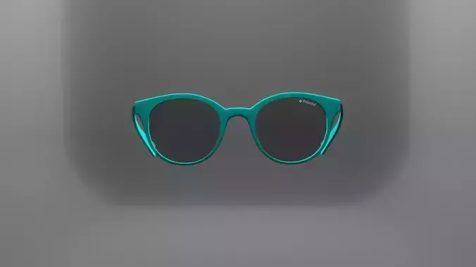 Polaroid Sunglasses for Augmented Reality