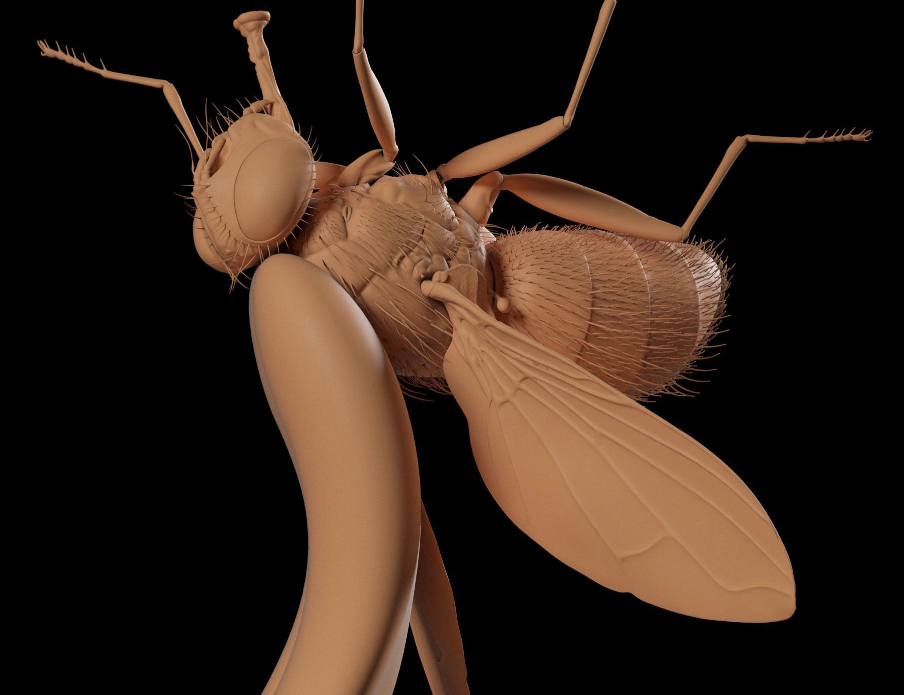 Frog Catches Fly 3D print model_15