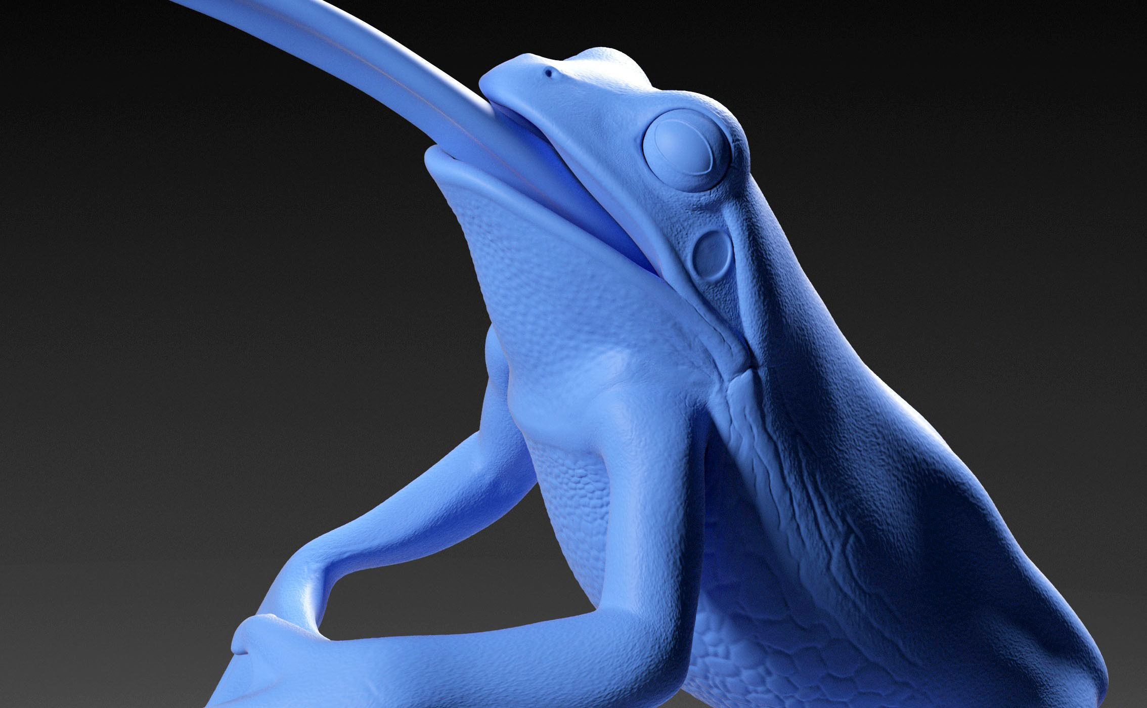 Frog Catches Fly 3D print model_13