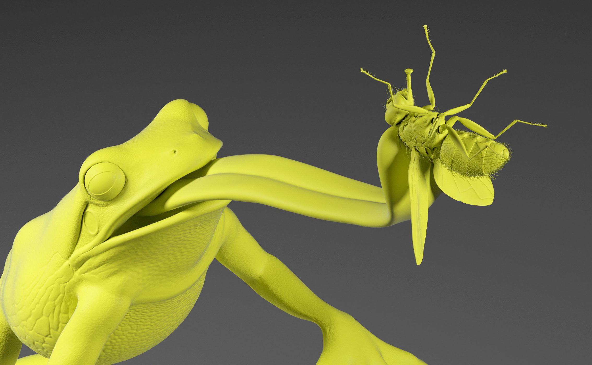 Frog Catches Fly 3D print model_12