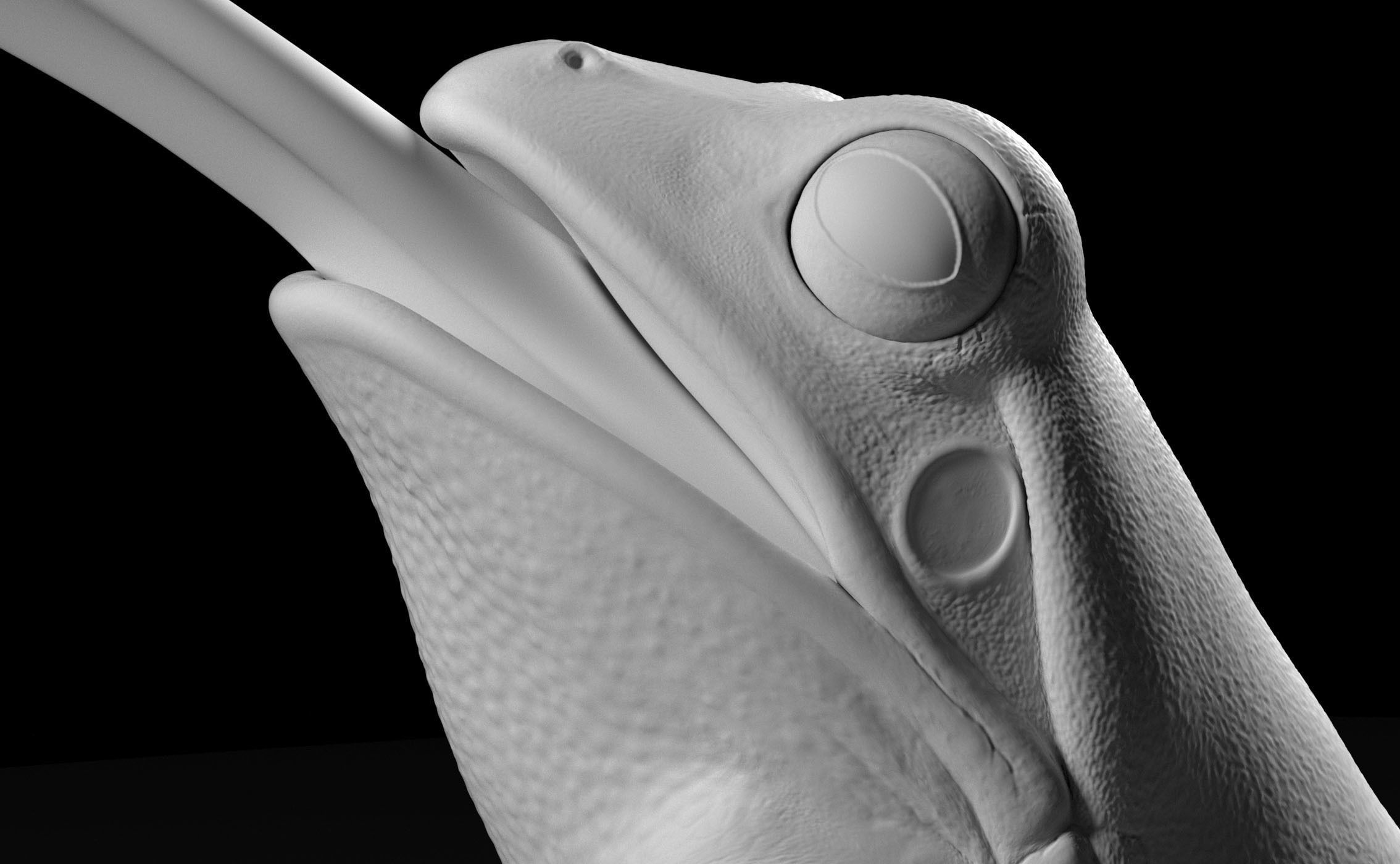 Frog Catches Fly 3D print model_6