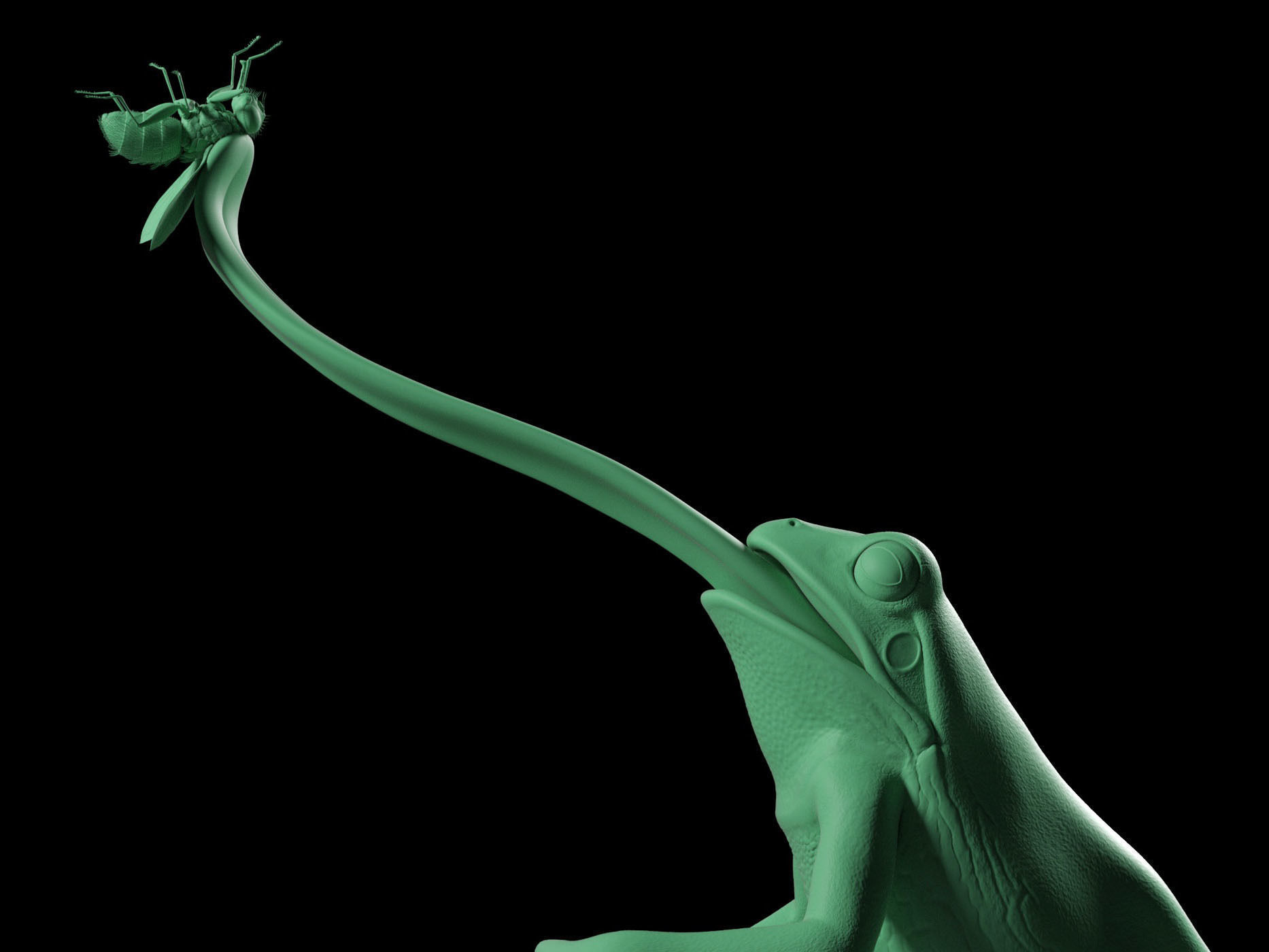 Frog Catches Fly 3D print model_16