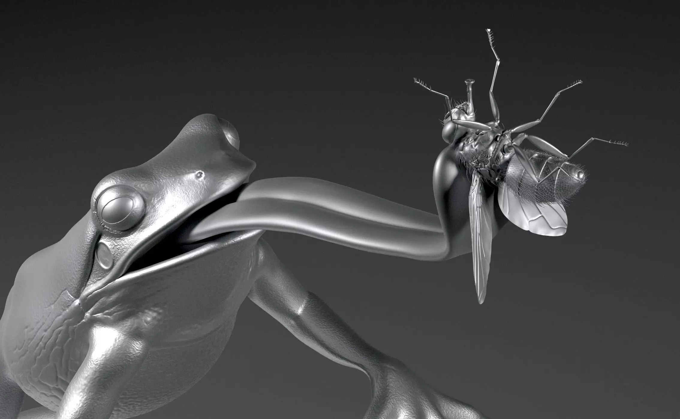 Frog Catches Fly 3D print model_0