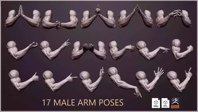 17 male arm poses 3D model